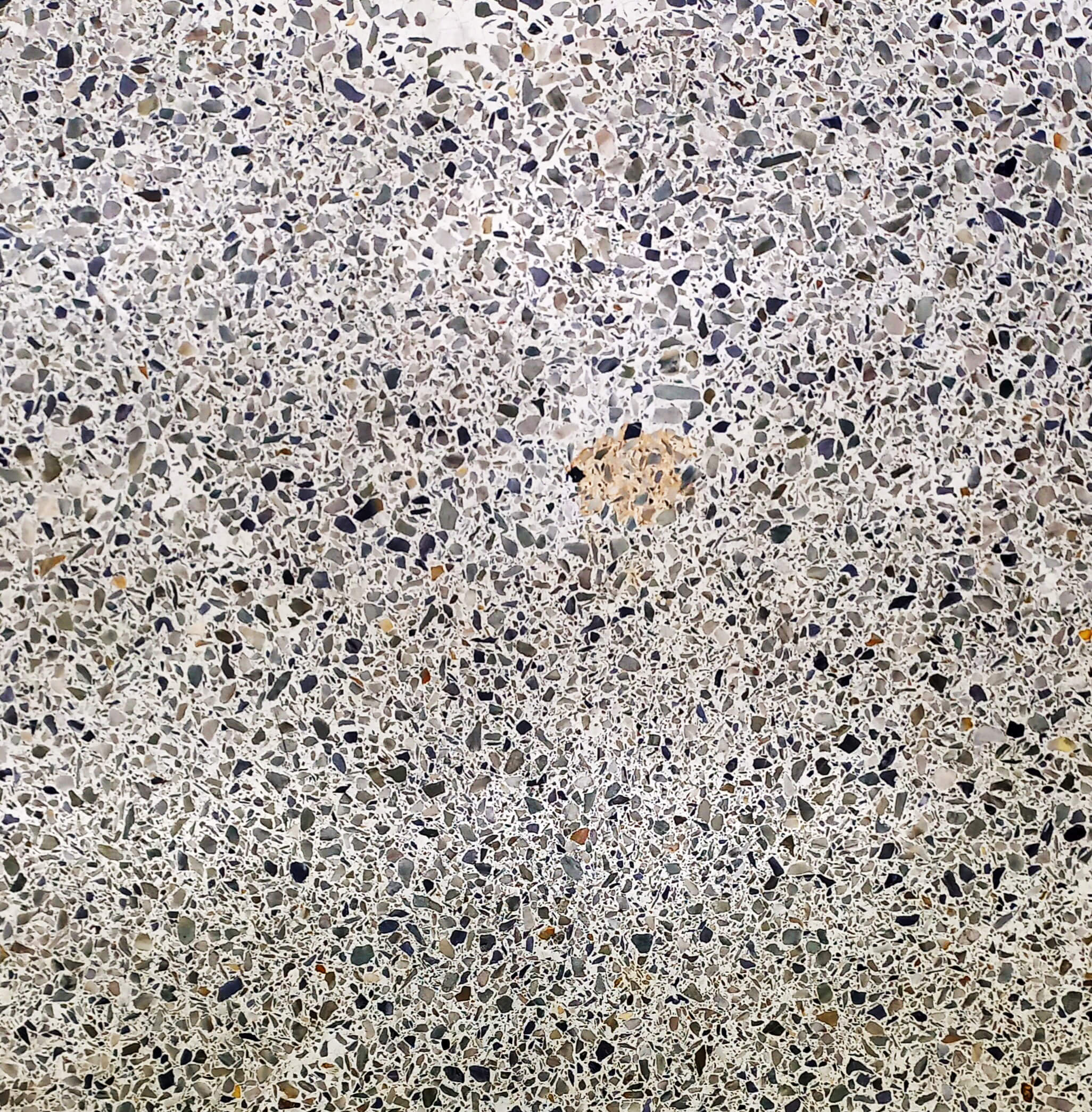 회갈색 바탕에 크기가 작은 검은색, 회색무늬들이 섞여있다. 타원형의 밝은 갈색 반점이 있다.