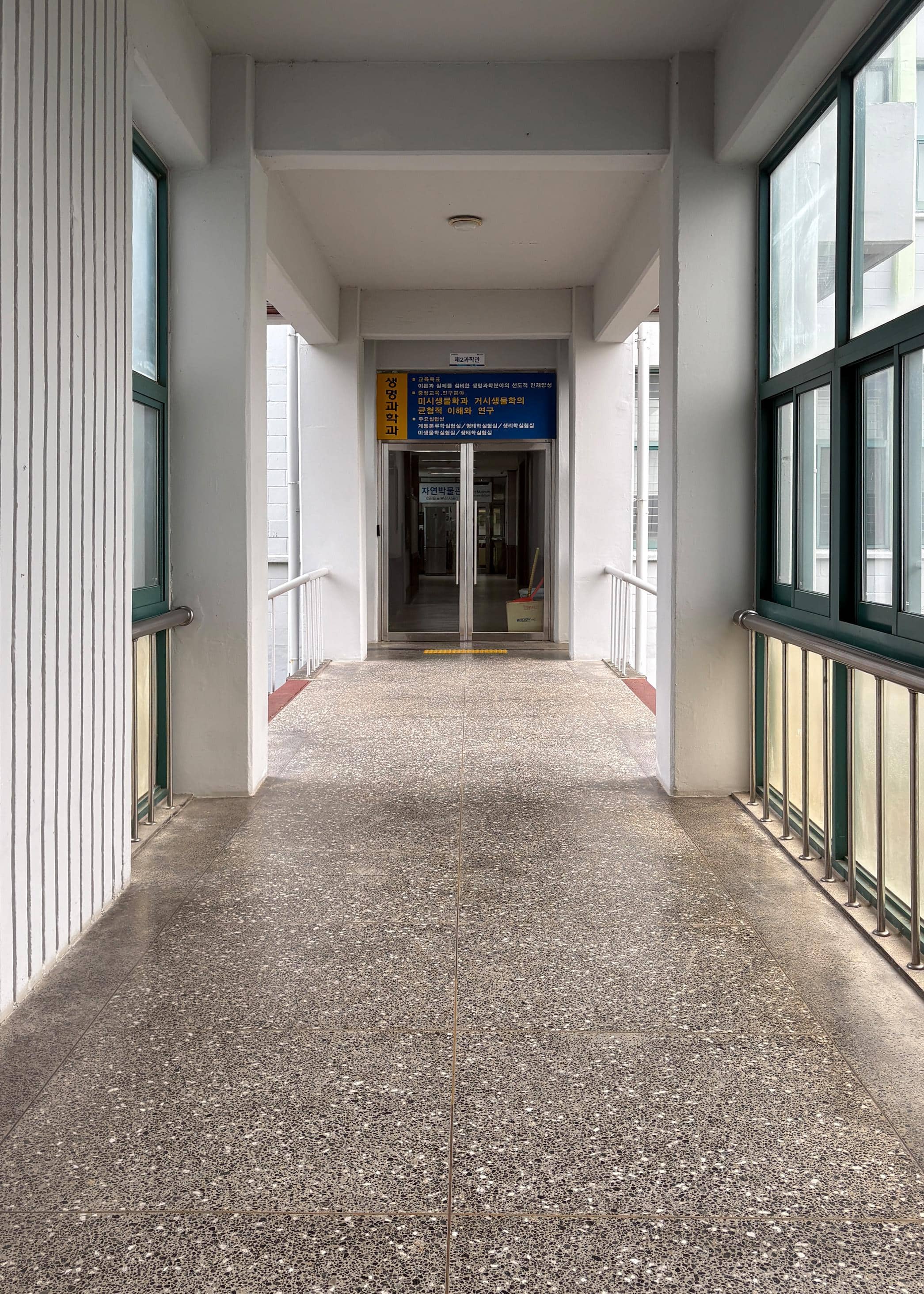 영남대학교 사회과학관 1층 연결복도. 왼쪽에는 흰색 벽에 세로로 검은 줄이 패턴으로 있다. 오른쪽 벽에는 초록색 창문이 있다. 그리고 복도 끝에는 다른 건물로 갈 수 있는 유리문이 있다.