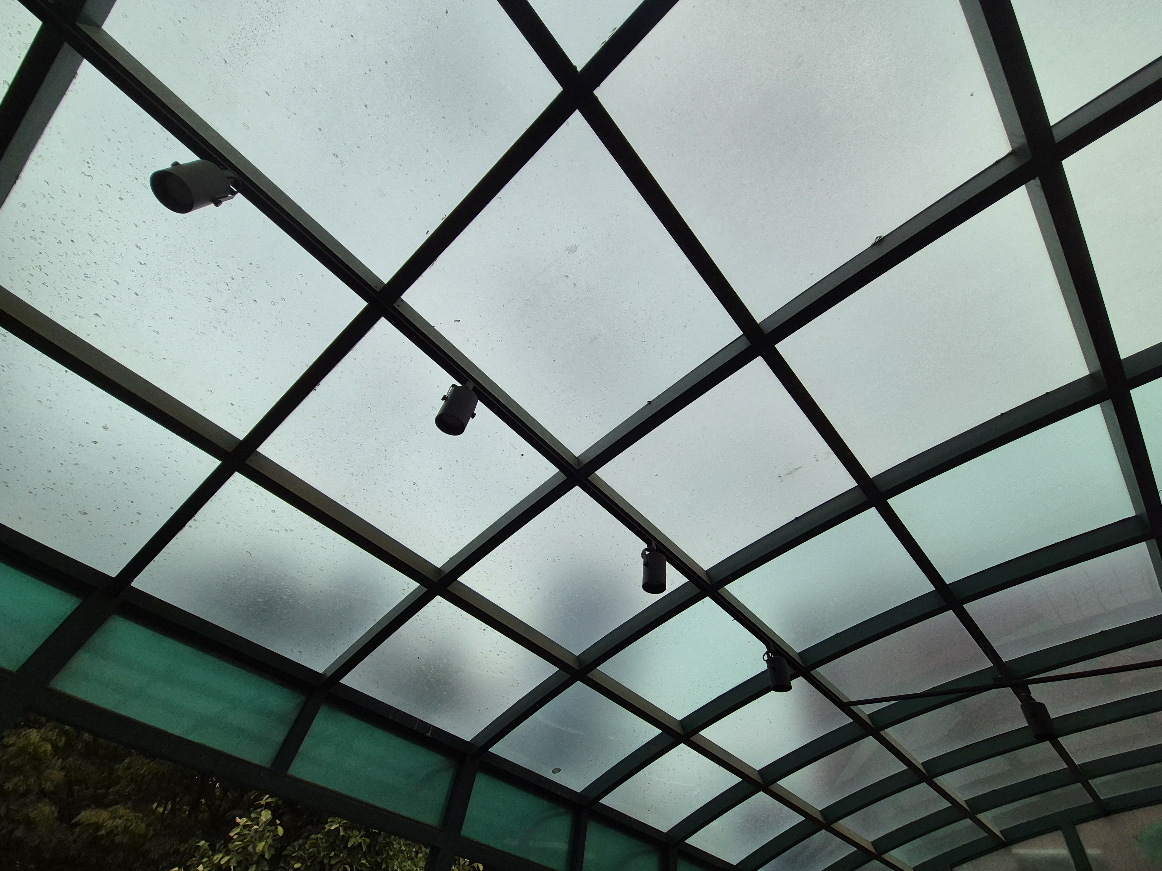 곡선 형태의 초록빛 철제 프레임과 연한 초록빛 반투명 지붕의 구조를 가진 천장 사진이다. 측면 아래에서 찍은 사진이다