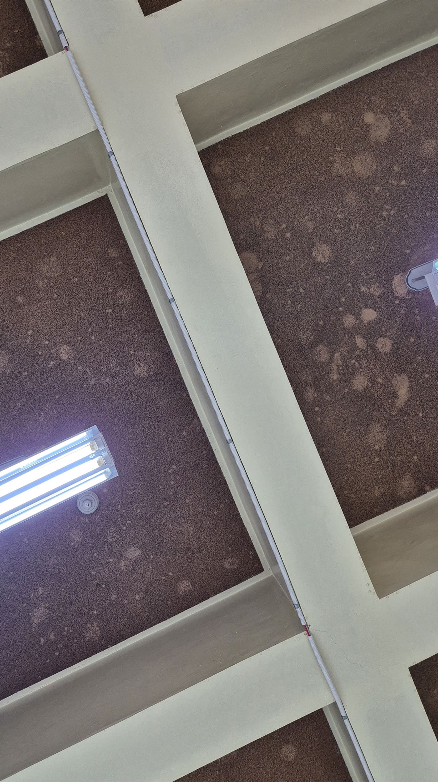 아이보리 색 격자 프레임과 대비되는 짙은 갈색 계열의 천장, 정면에서 찍은 사진