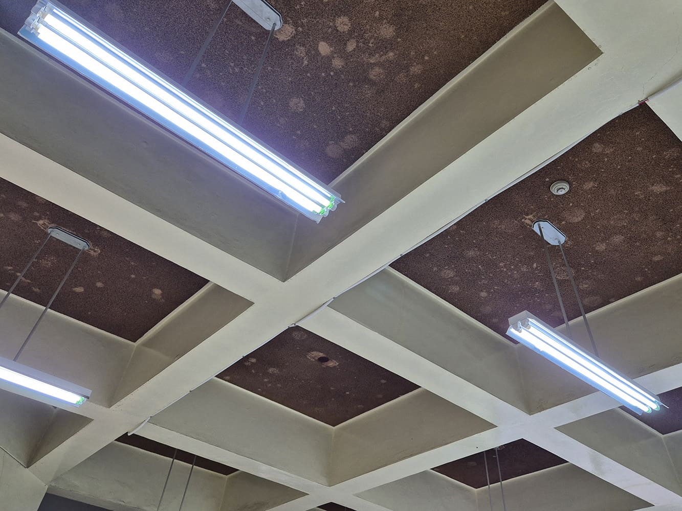 아이보리 색 격자 프레임과 대비되는 짙은 갈색 계열의 천장, 측면에서 찍은 사진, 직선형 LED조명이 격자 구조 사이에 설치되어 있다.