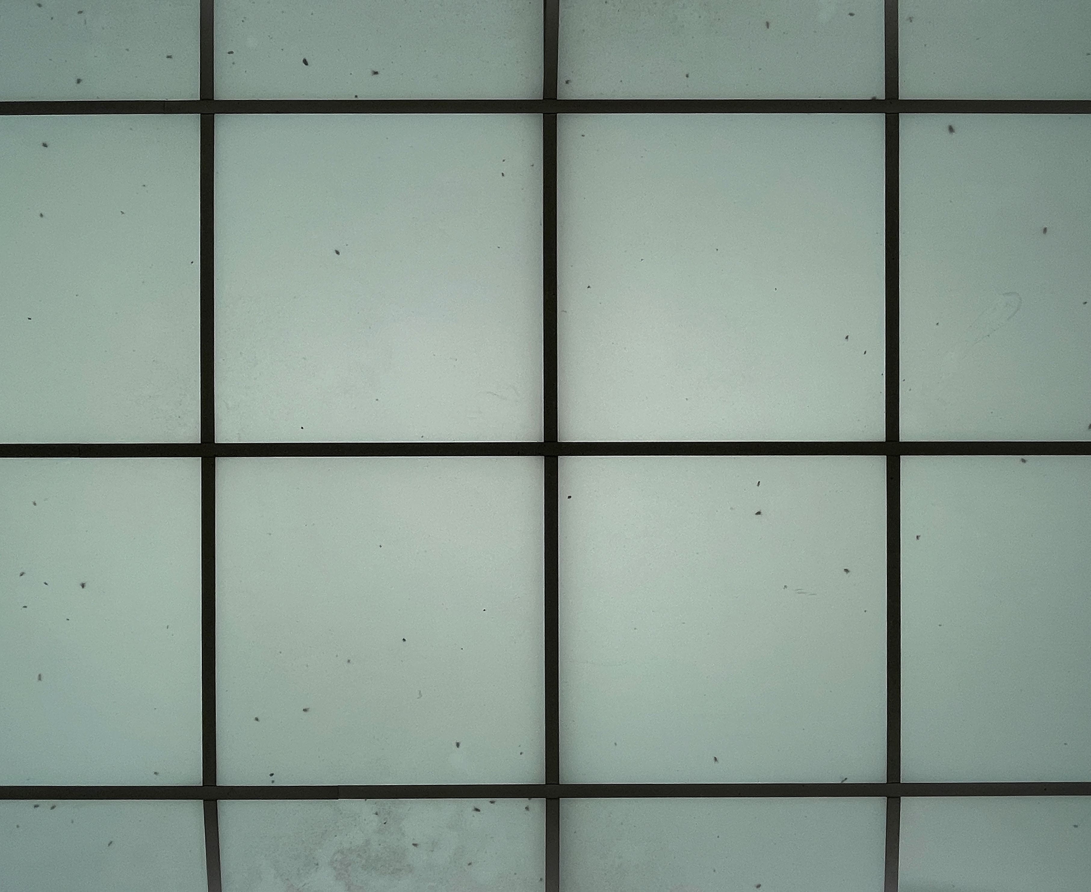 밑에 줄에서 두번째 이미지는 유리 루버 천장이다. 영남대학교 상경관에서 촬영한 이미지다. 전체적으로 하늘색의 반투명 유리의 천장으로 구성 됐으며 격자 무늬의 검은색 선들이 있다.s