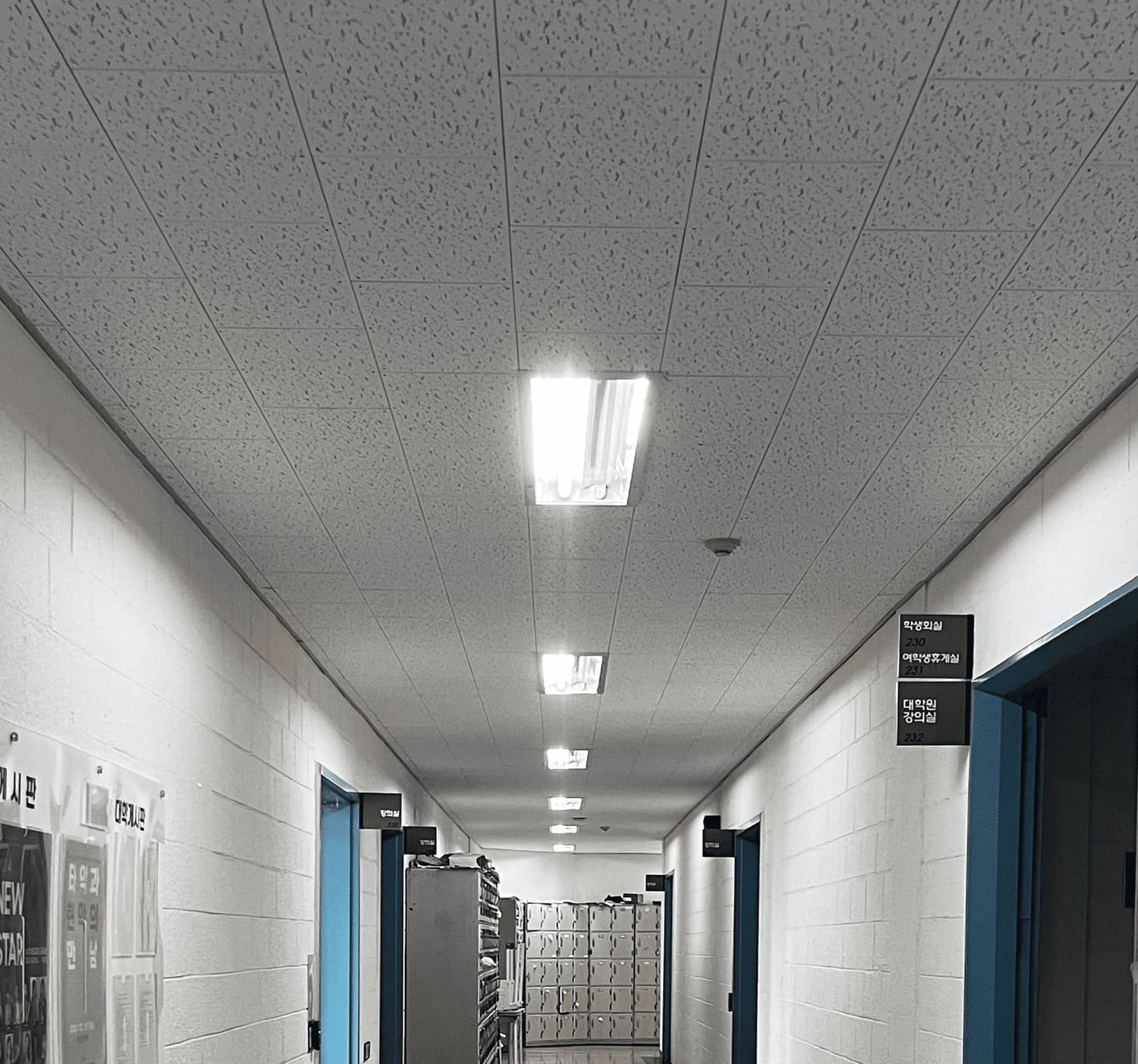 소실점이 중앙에 있는 복도의 중간부터 천장까지의 사진. 흡읍 택스 천장. 콘크리트 벽돌 벽의 오른 쪽에는 파란색 문틀이 있고 문은 열려있다. 복도의 안쪽에 두 개의 문이 더 있고 왼쪽에는 문틀 하나가 보이고 가까이에 게시판이있다. 복도의 끝은 오른쪽으로 꺾여있으며 사물함이 길을 따라 배치되어있다. 4번 복도의 위