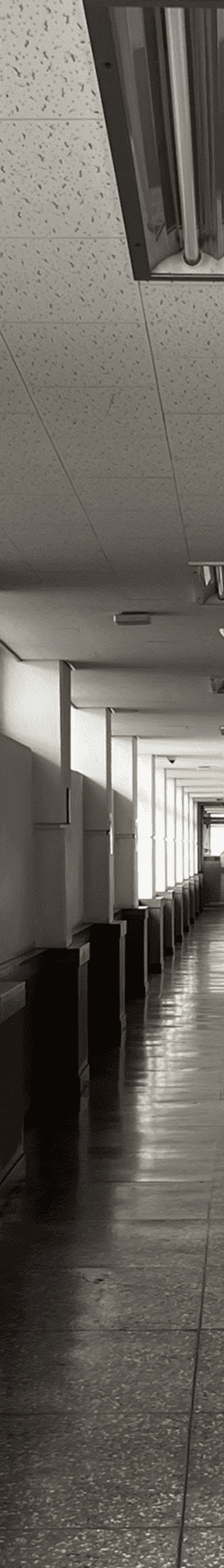 중간에 소실점이 모이는 복도를 세로로 4분할 했을 때의 왼쪽에서 두번째 사진. 콘크리트 벽에 아래쪽은 나무몰딩된 채로 튀어나와있다. 일정한 간격으로 벽에 기둥이 튀어나와있다. 천장은 흡음 패널. 매입형 2구 형광등이 붙어있다.