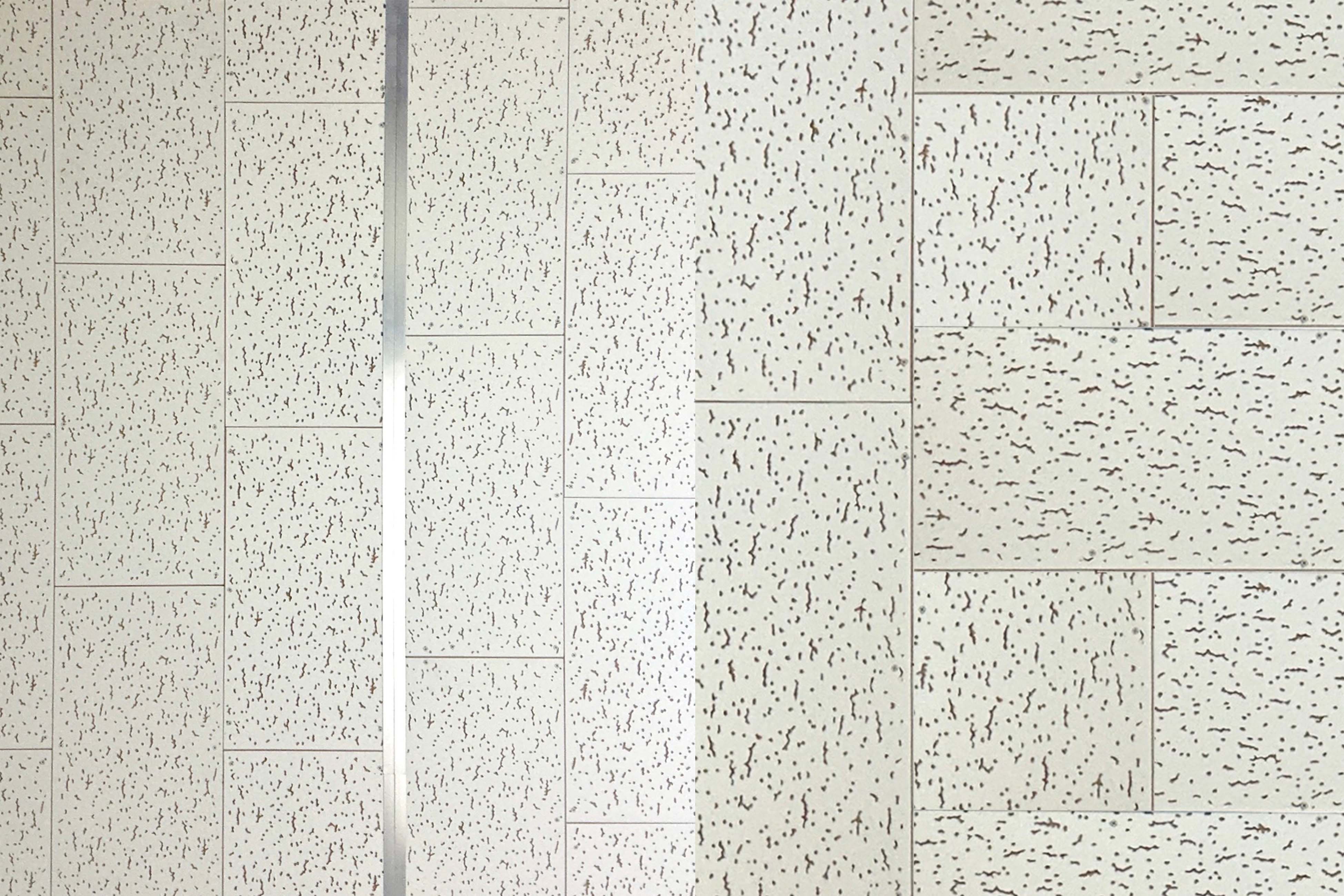 흰색의 긴 직사각형 판이 일정한 간격으로 여백 없이 붙어있다. 판마다 작은 물결과 동그라미 형태의 구멍이 불규칙적으로 뚫려 있다. 길고 얇은 회색 직사각형 금속이 화면 끝에서 끝까지 이어진 천장이다.