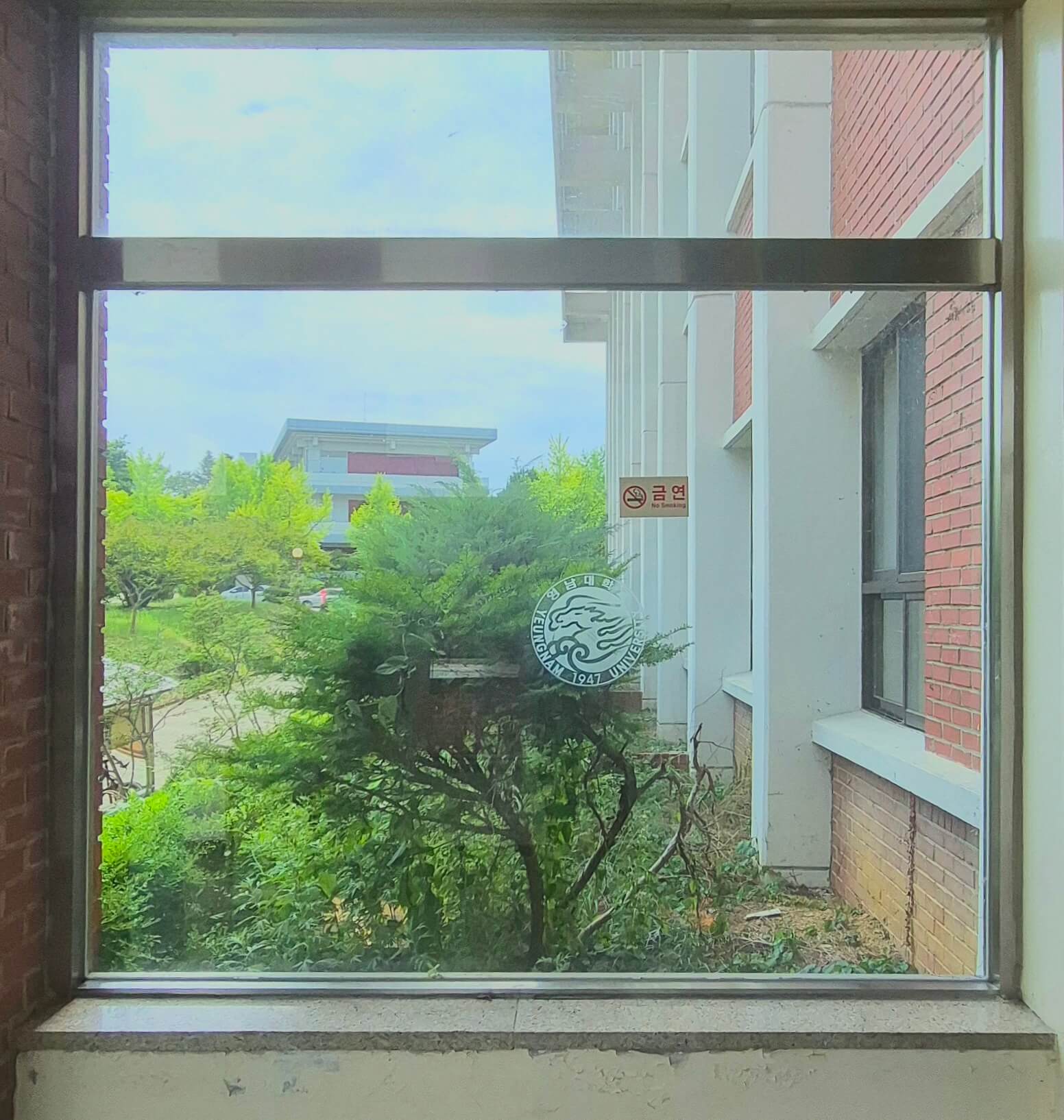 인문관 창문, 왼쪽에 벽돌벽, 나머지는 흰색인 벽 위로 금속 재질의 창틀로 된 직사각형 형태의 창문이다. 창문 너머로 건물의 벽과 나무가 보인다. 창문 가운데에는 흰갣으로 프린팅된 영남대학교의 로고가 있고, 그 위로 금연구역 안내문 종이가 붙어있다.