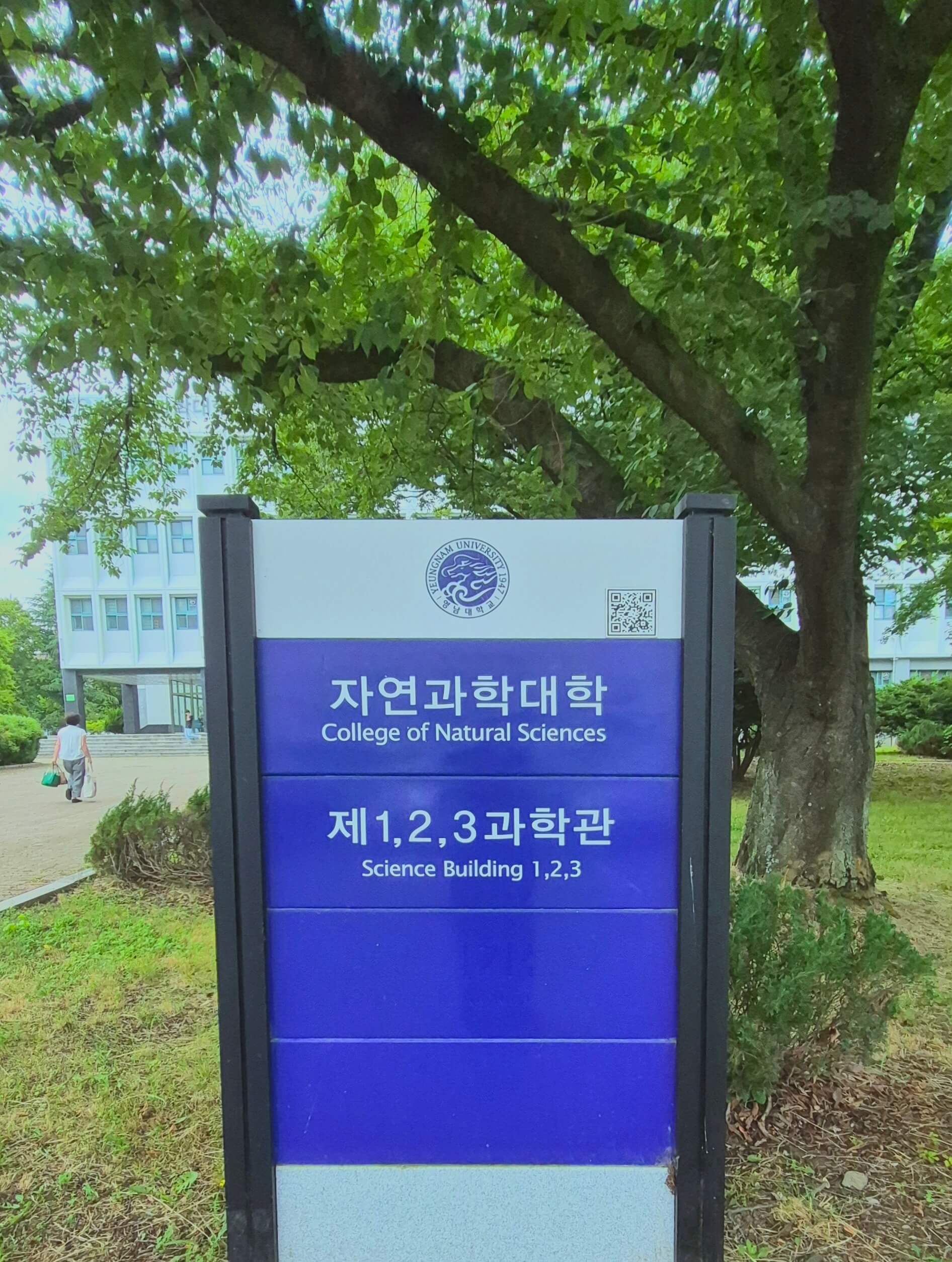 영남대학교의 건물 안내판. 파란색 배경 위로 흰 글씨로 '자연과학대학','제 1,2,3 과학관'이라고 적혀있고 각각 글씨 밑에 작게 영어 번역이 적혀있다