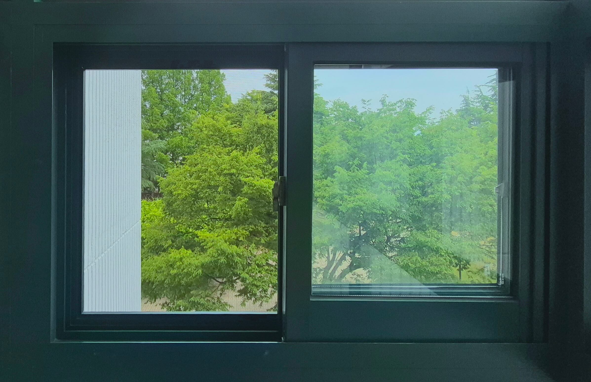 자연과학대학 창문, 녹색 창틀로 된 직사각형 형태의 2분할된 창문이다. 창문 너머로 왼쪽에는 흰 벽 일부와 나무가 보인다. 오른쪽 창문은 유리창이 약간 흐리게 보인다.