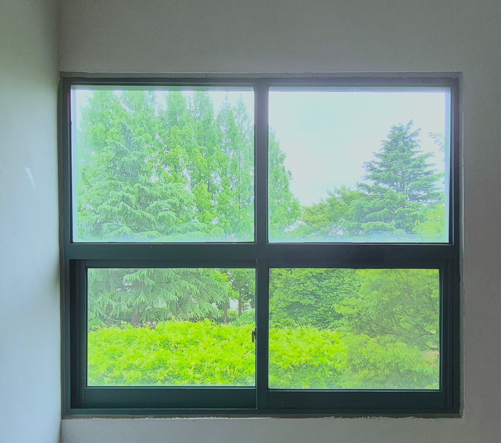 자연과학대학 창문, 흰 벽 위로 녹색 창틀로 된 직사각형 형태의 4분할된 창문이 있다. 위쪽의 창문 2개는 아래쪽의 2개에 비해 창틀이 얇다. 창문 너머로 풀숲과 나무가 보인다.