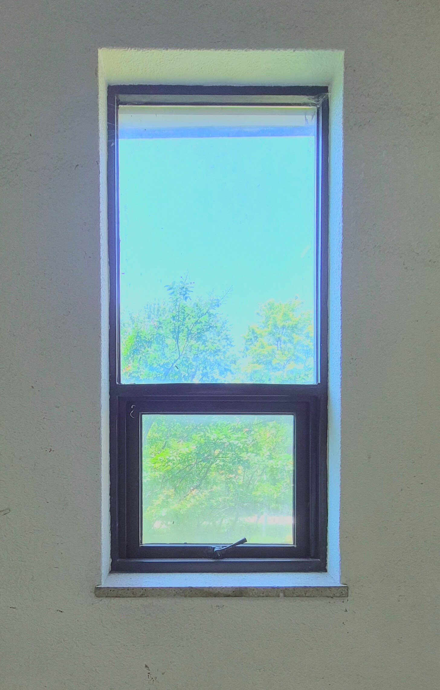 디자인관 창문, 흰 벽 위로 검은 창틀로 된 직사각형 형태의 창문이 있다. 위쪽에 세로로 긴 직사가형이 있고, 그 아래로 정사각형이 붙어있다. 위쪽 창문은 아래쪽에 비해 창틀이 얇다. 아래쪽 창문 밑부분에는 밀어서 창문을 열 수 있는 손잡이가 보인다. 창문 너머로 나무가 보인다.