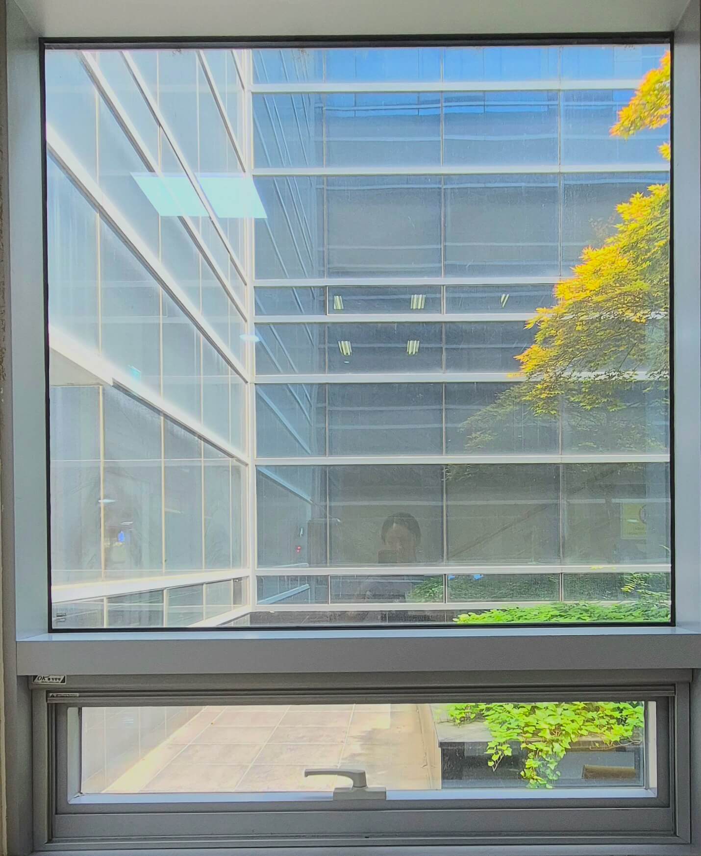 중앙도서관 창문, 흰색 창틀로 된 정사각형 형태의 창문이다. 창문 너머로 중아도서과의 맞은편 견물과 오른쪽에 약간의 풀과 나뭇잎이 보인다.