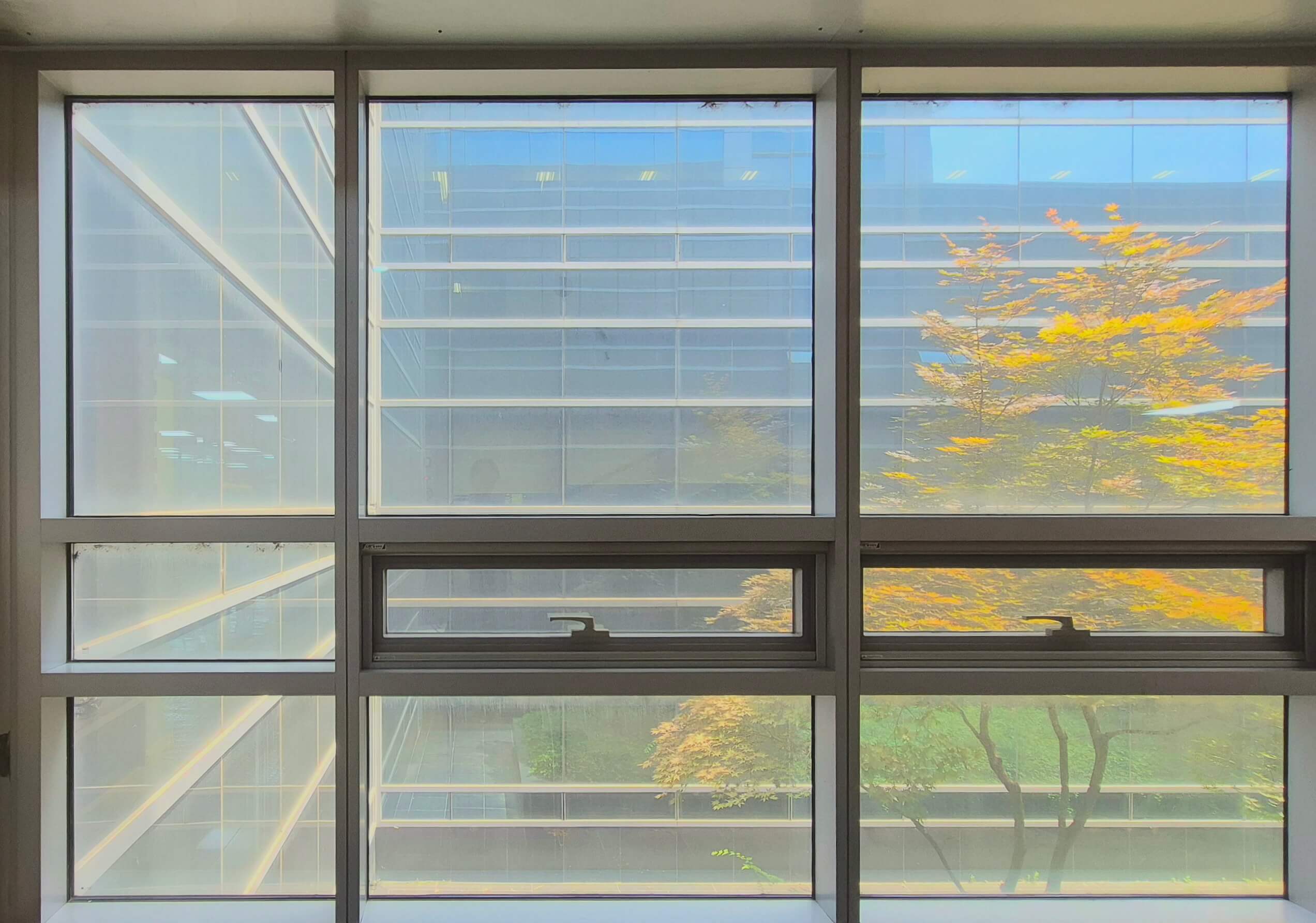 중앙도서관 창문, 휜색 창틀로 된 직사각형 형태의 창문이다. 위아래의 창문에 비해 가운데 창문의 세로 너비가 비교적 좀으며, 가운데 창문은 밀어서 열 수 있는 형태이다. 창문 너머로 중아도서과의 맞은편 견물과 오른쪽에 나무가 보인다