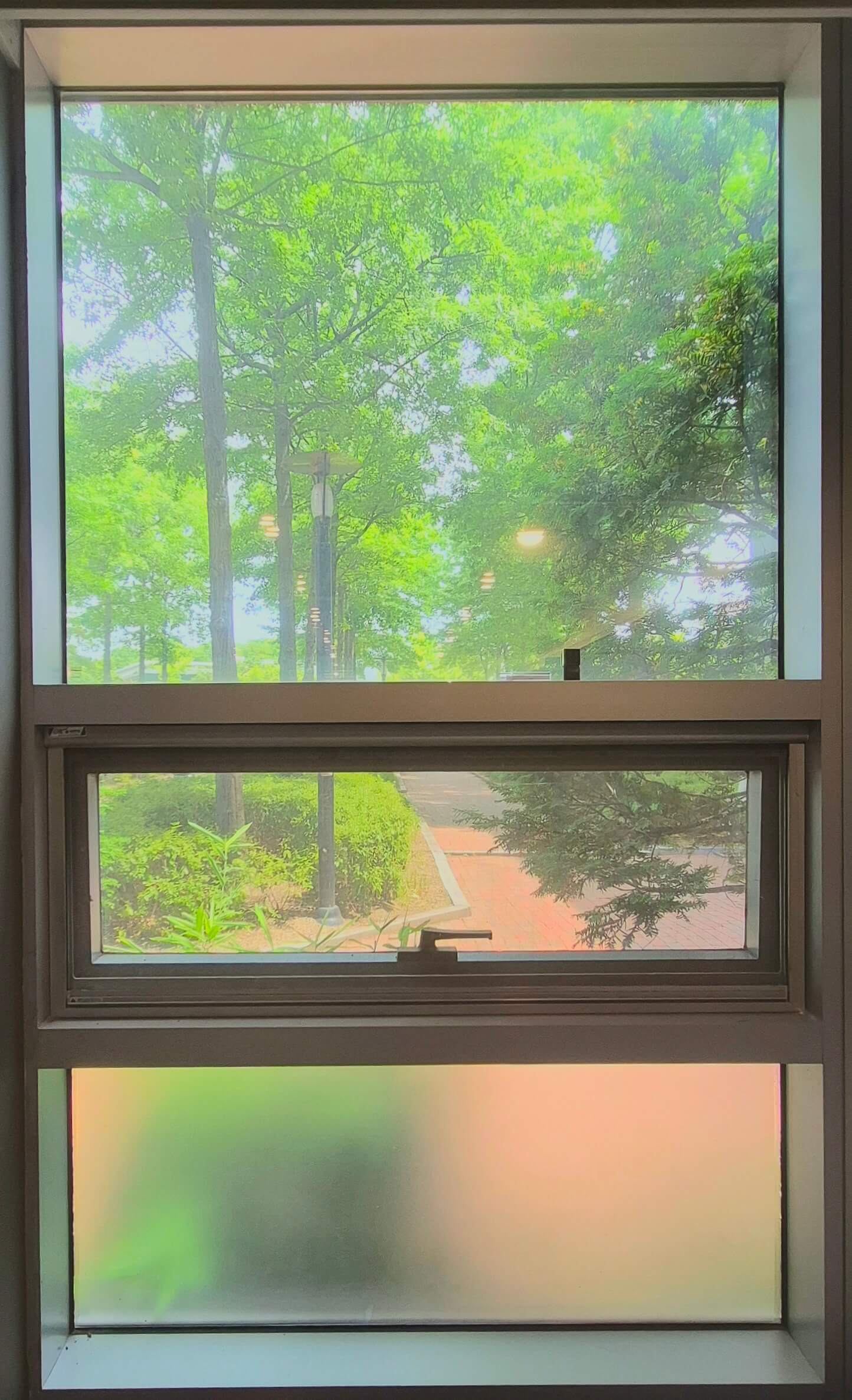 중앙도서관 창문, 휜색 창틀로 된 직사각형 형태의 창문이다. 위 아래는 직사각형 형티이고, 가운데 창문은 가로로 긴 직사각형 형태이며 밀어서 열 수 있는 창문이라 살짝 열려있다. 창문 너머로 가로등과 인도, 나무와 풀숲 등이 보이나 맨 아래쪽 창문은 반투명한 유리라 밖이 흐리게 보인다.