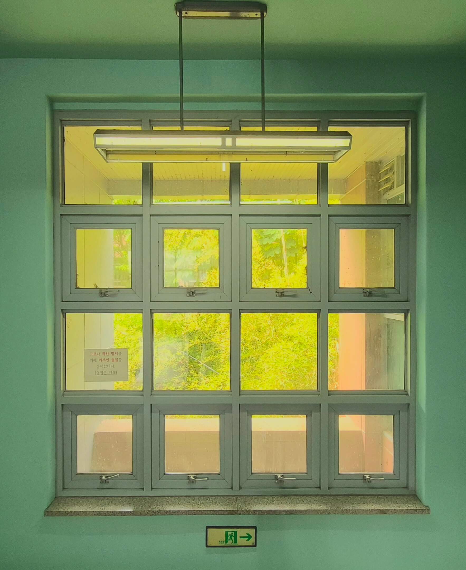 건축관 창문, 민트색 벅 위로 휜 창틀로 된 정사각형 창문이 있다. 가로, 세로가 동일한 길이로 4개로 나눠져 총 16개의 창문이 정사각형 형태로 붙어있다. 위쪽에 긴 전등이 보이고 아래쪽엔 비상구 안내판이 보인다. 위에서 3번째 줄의 가장 왼쪽 창문에 종이가 붙어있다.