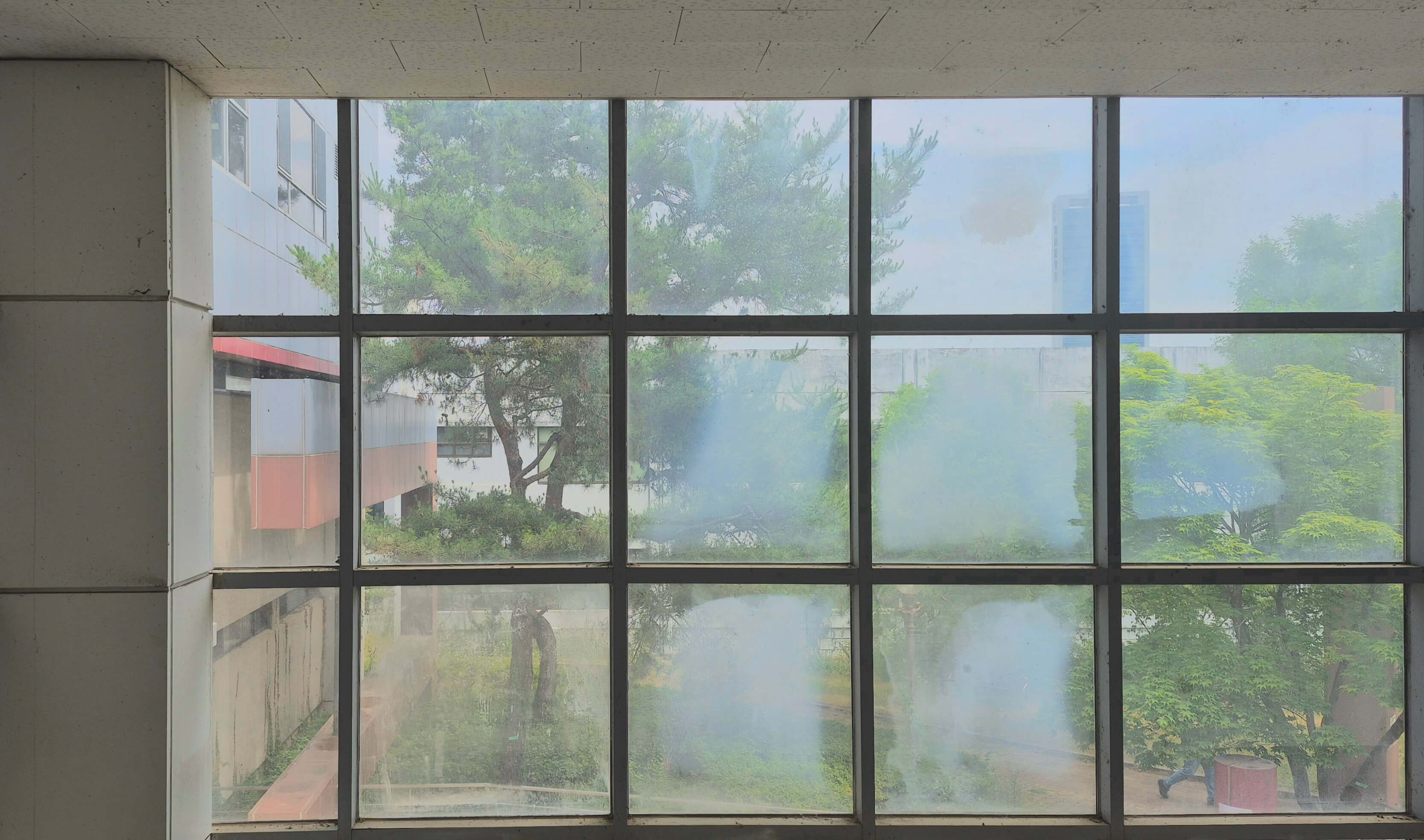 건축관 창문, 왼쪽의 흰 기둥 옆으로 정사각형 형태의 창틀로 나누어진 전면 유리창이 있다. 창 너머로 건물과 나무가 보인다. 유리창 중 4개 정도는 습기가 차서 밖이 보이지 않는 상태다.